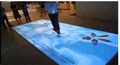 做一個(gè)10平米的地面互動(dòng)投影大概多少錢？